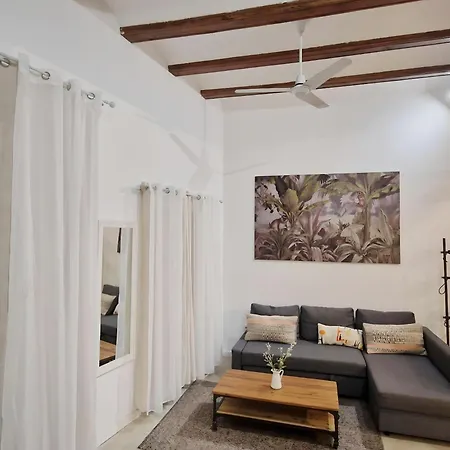 Apartment Acogedor Piso En El Corazon Del Casco Historico Valencia